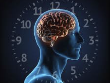 los problemas para dormir más comunes: alteraciones del ritmo circadiano